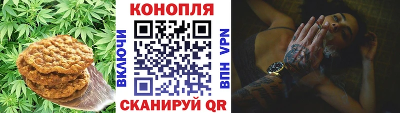 купить наркоту  Ижевск  Печенье с ТГК марихуана 