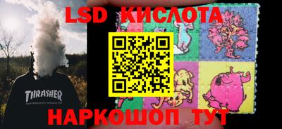 шишки Гай
