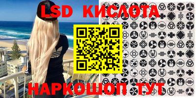 крисы Гагарин