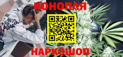 шишки Гай