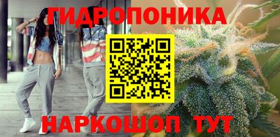 таблы Гатчина