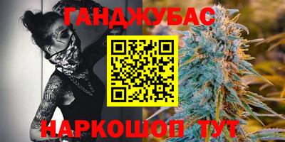 шишки Гай