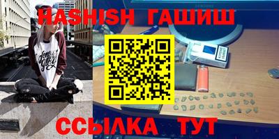 шишки Гай