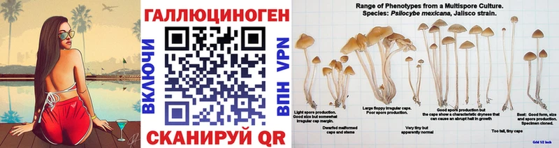 Галлюциногенные грибы мухоморы  Ижевск 